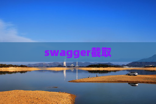 swagger截取